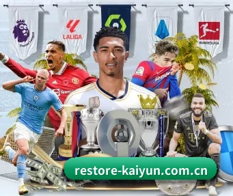 开云登录 APP(kaiyun)